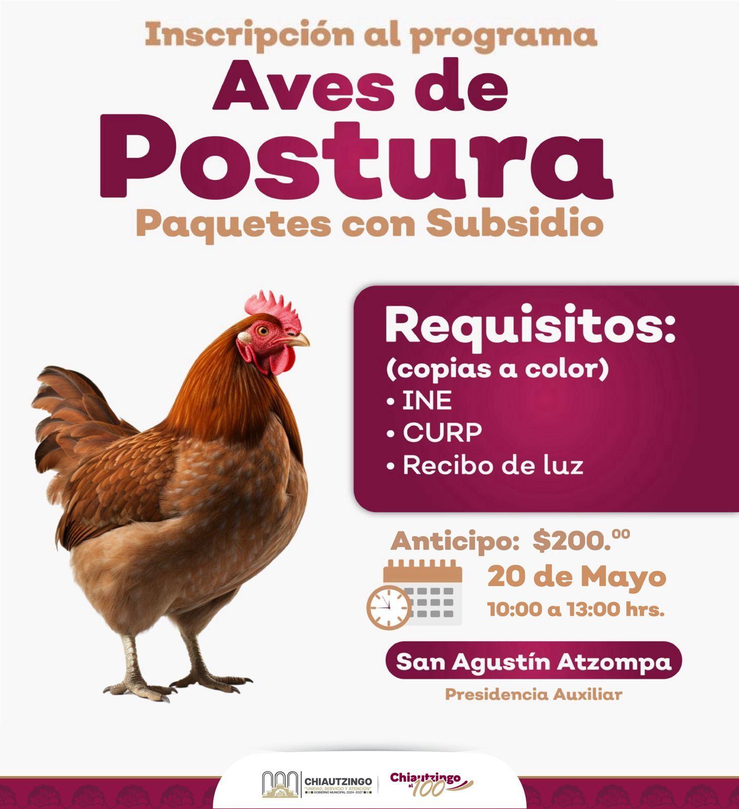 Programa Aves de Postura