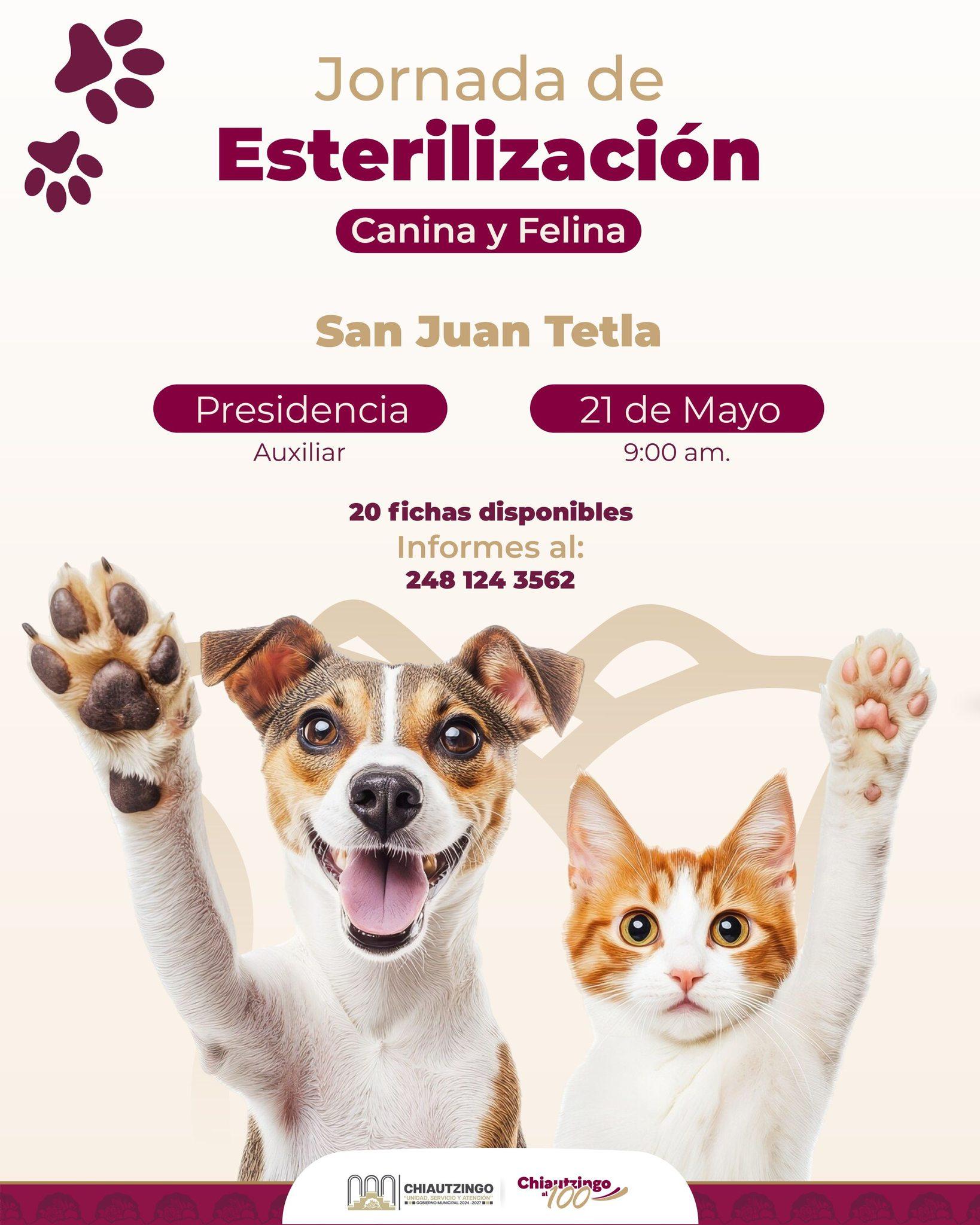 🐾 Jornada de Esterilización Canina y Felina en San Juan Tetla  🐾