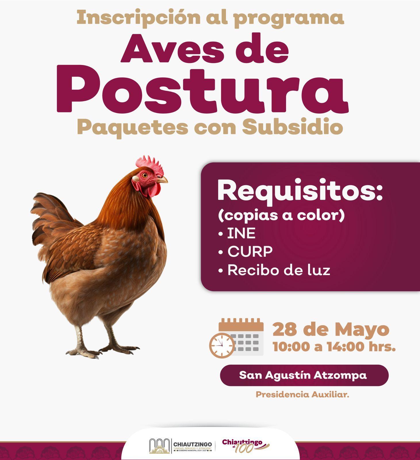 Inscripción al Programa "Aves de Postura" - San Agustín Atzompa