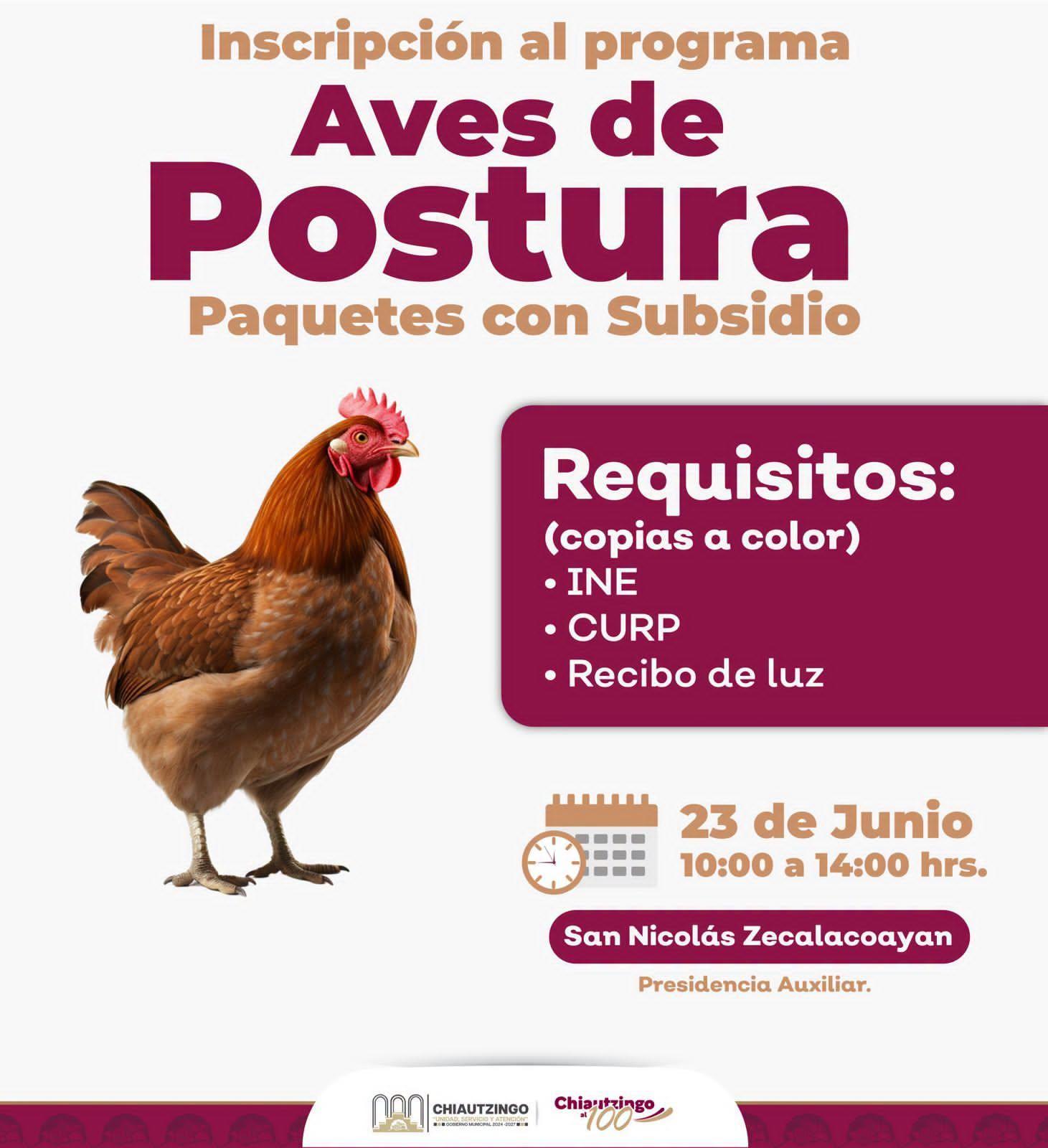 Inscripción al programa “Aves de postura” en San Nicolás Zecalacoayan, 23 de junio de 2026 🐓